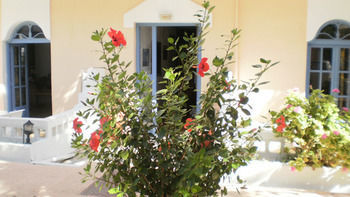 Sirena Apartments Agia Pelagia Exteriér fotografie